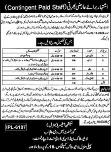 Livestock Dairy Jobs Lahore